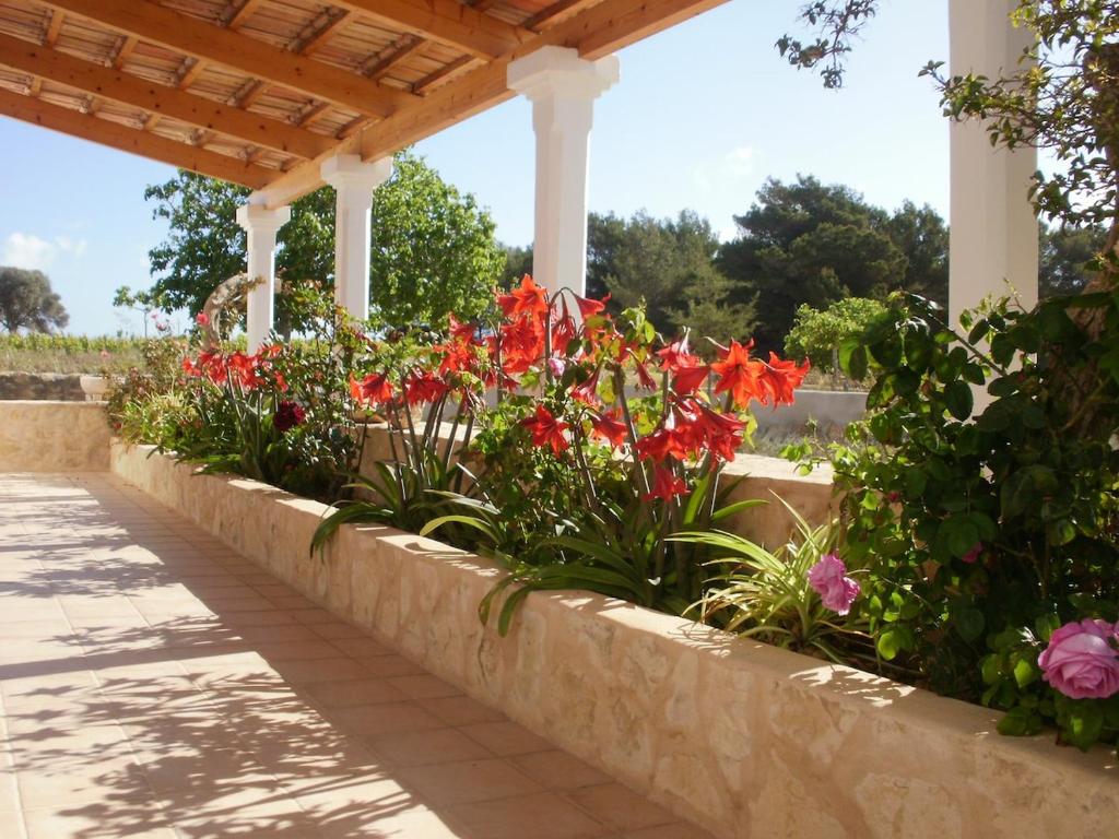 a row of flowers in a flower bed under a porch at Finca Blanca Formentera in Sant Francesc Xavier