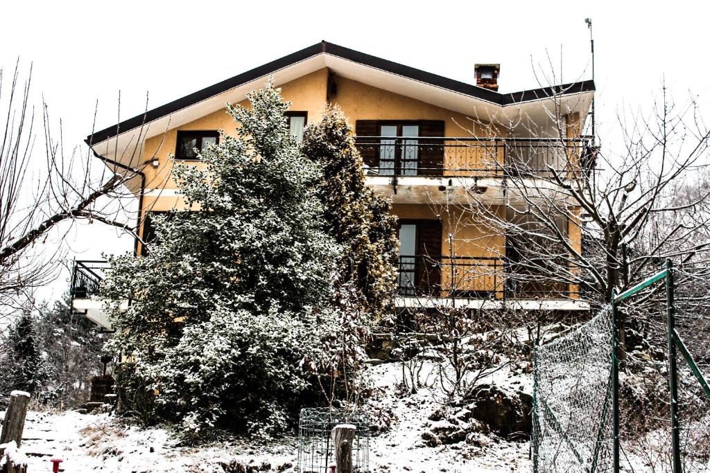 a building with a tree in front of it in the snow at B&B Pian Savin in Giaveno