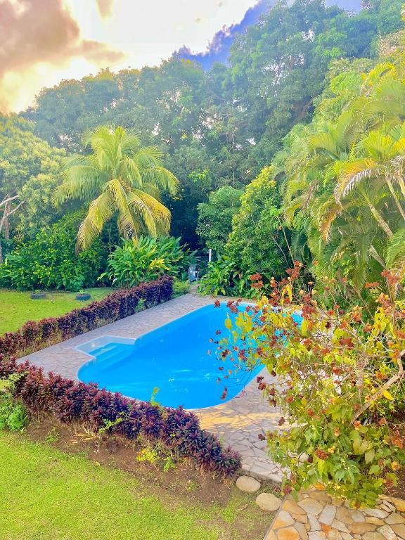 a blue swimming pool in the middle of a garden at appartement T2 cosy avec piscine in Baie-Mahault