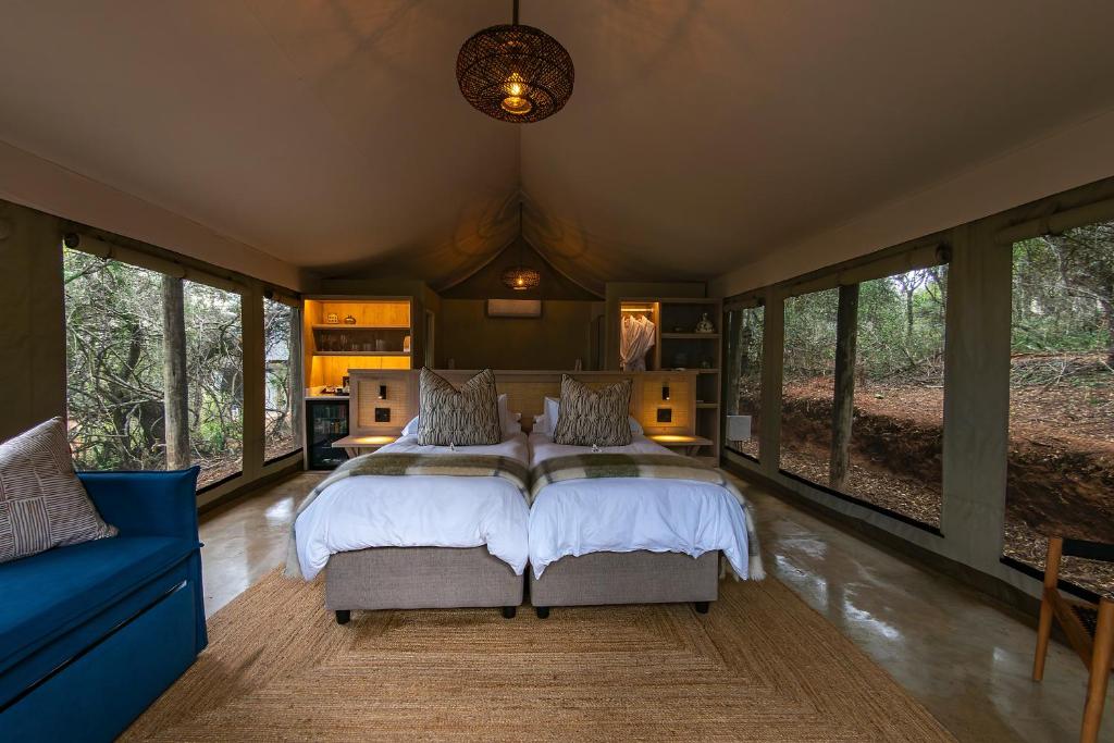 a bedroom with a large bed and a blue couch at Addo Elephant Safari Lodge - Bellevue Forest Reserve in Paterson