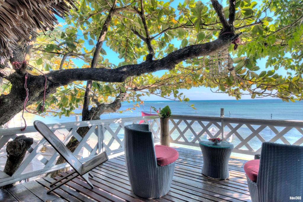 a deck with chairs and a tree and the ocean at Analatsara Eco Lodge in Ile aux Nattes