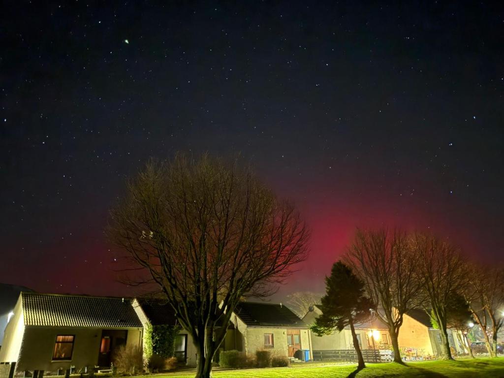 a starry night with a house and trees in a yard at Firthview Golspie in Golspie