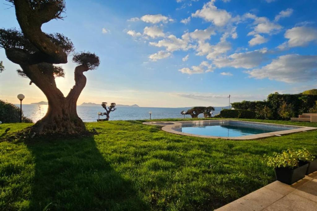 a garden with a tree and a swimming pool at Garden Suite in Oya