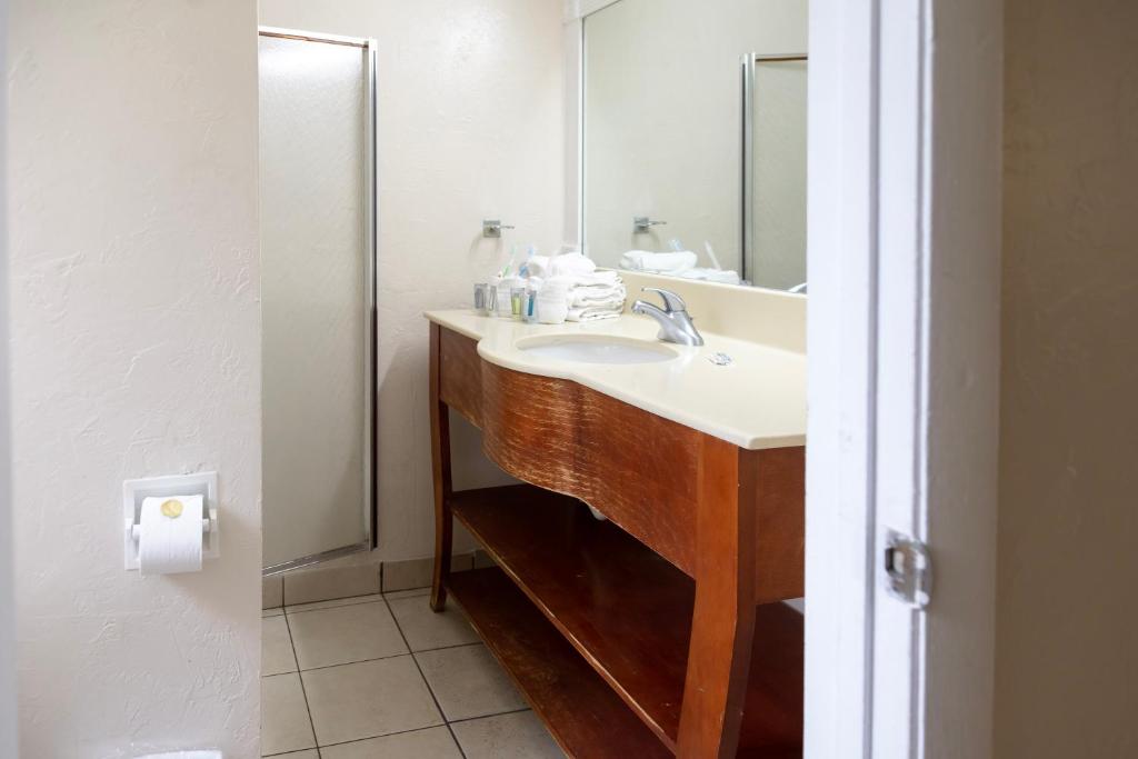 Palm Breeze Hotel photo