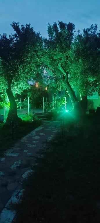 a park at night with two trees with green lights at Villa Eleonas in Makri