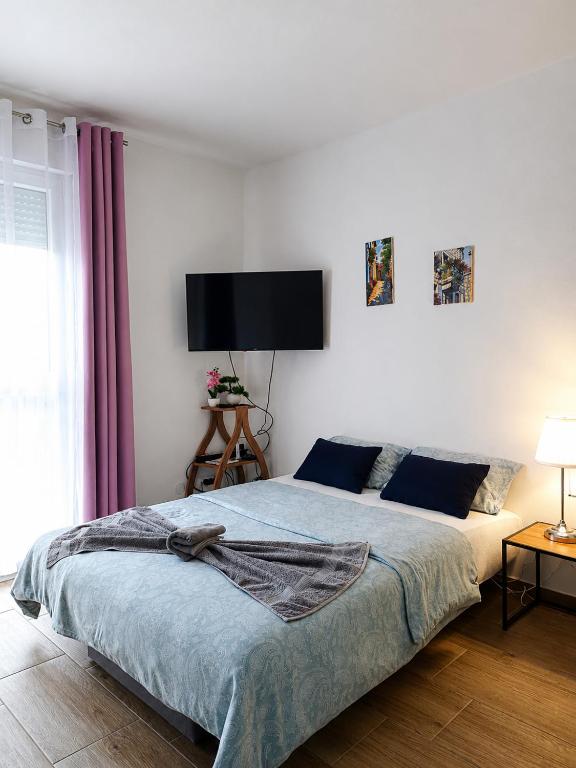 a bedroom with a bed and a flat screen tv at Apartman Nati in Banja Koviljača