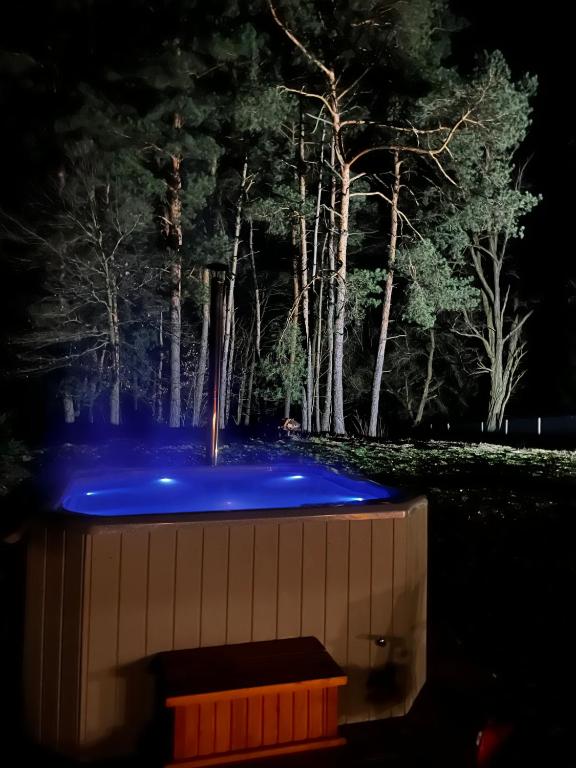 a fountain with blue lighting in a park at night at Niva Rest in Pilica