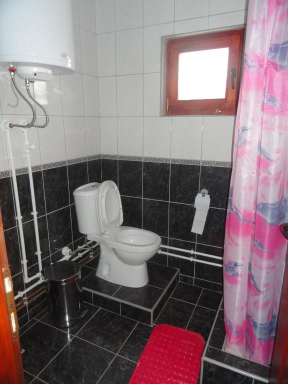 Koupelna v ubytování Stara Planina Vila Vesela kuca