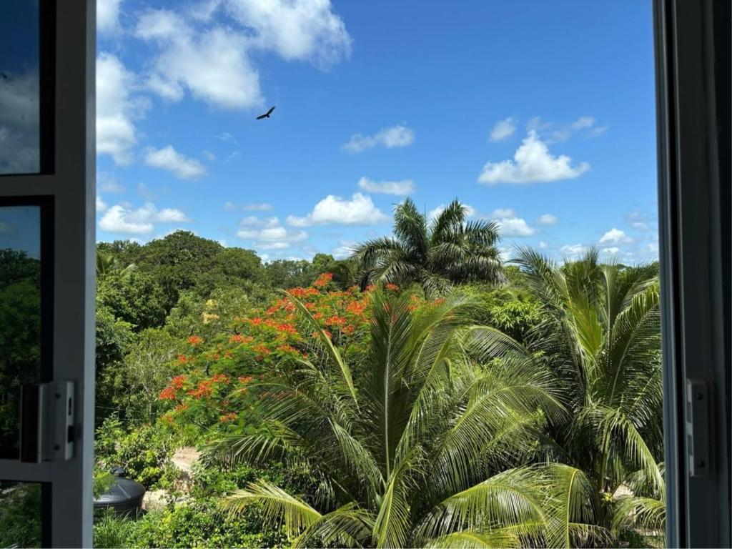 a window view of a jungle with palm trees and flowers at Private Pool Villa Near Bacalar Lagoon in Xul-Ha