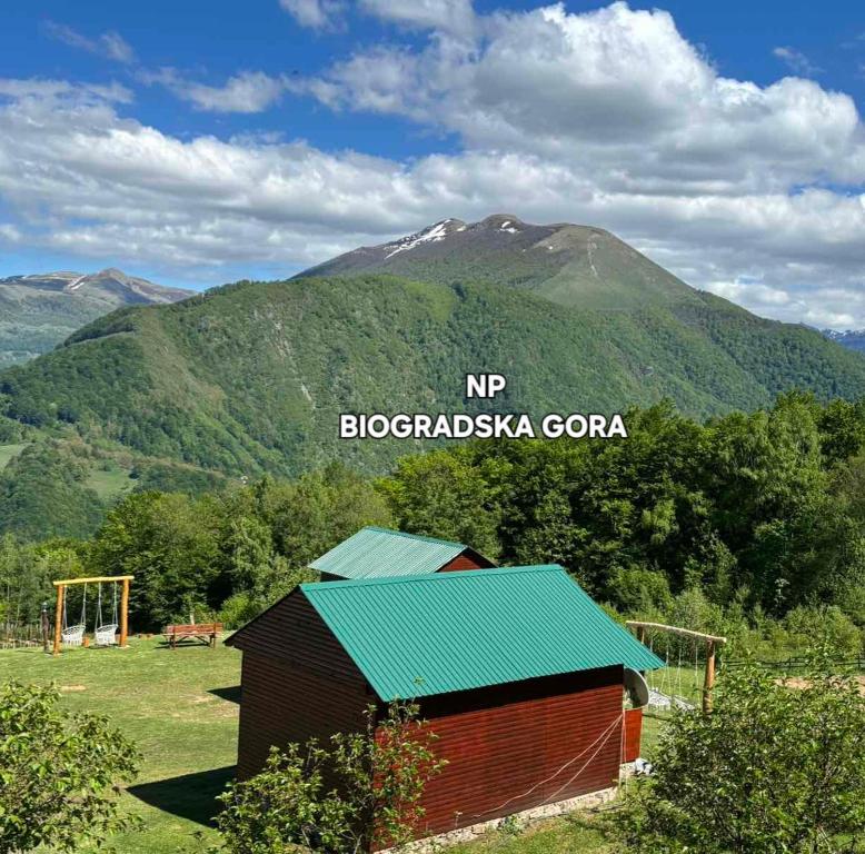 a barn in a field with a mountain in the background at Kolibe Ćorić in Mojkovac