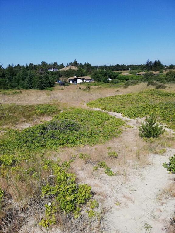 a dirt road in a field with grass and trees at Holiday Home On A Huge Nature Plot in Skagen