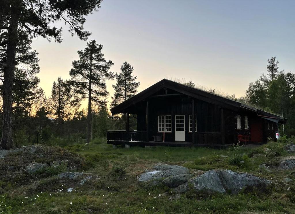 a small cabin in the middle of a forest at Cabin With Rauland Mountain Views in Rauland