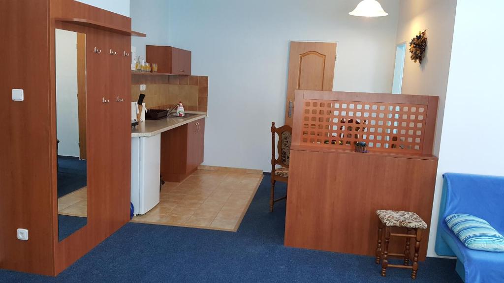 a living room with a kitchen with a blue carpet at Ala ubytovani in Josefŭv Dŭl