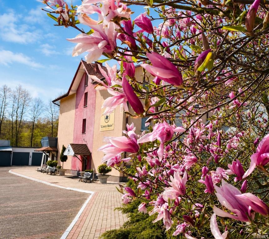 a pink flowering tree in front of a pink building at Obiekt "Czarny Rycerz" in Jastrzębie Zdrój