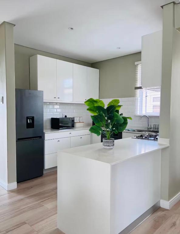 a kitchen with a white counter and a plant on it at Premier Residence in Windermere in Durban