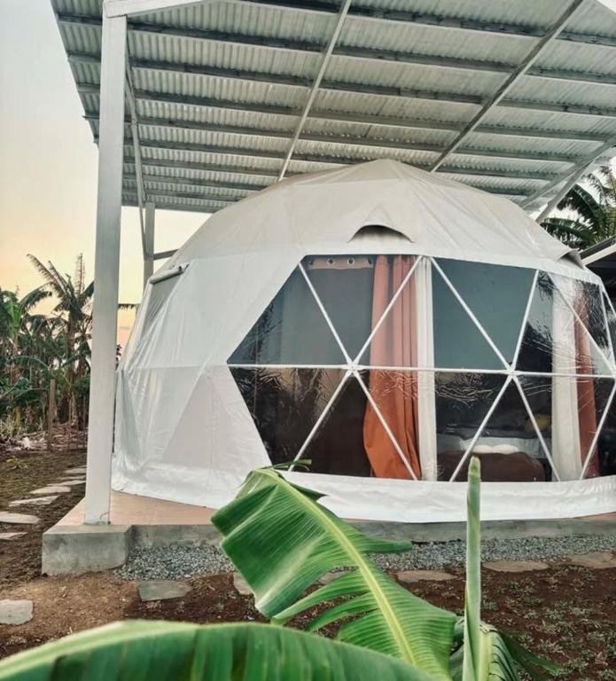 a dome tent in a yard with a plant at CAELO | Peaceful Mountain View Rive in Pililla