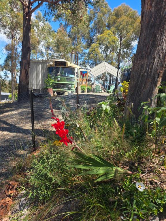 a green truck parked in a park with flowers at Banksia Bus in Longley Lower