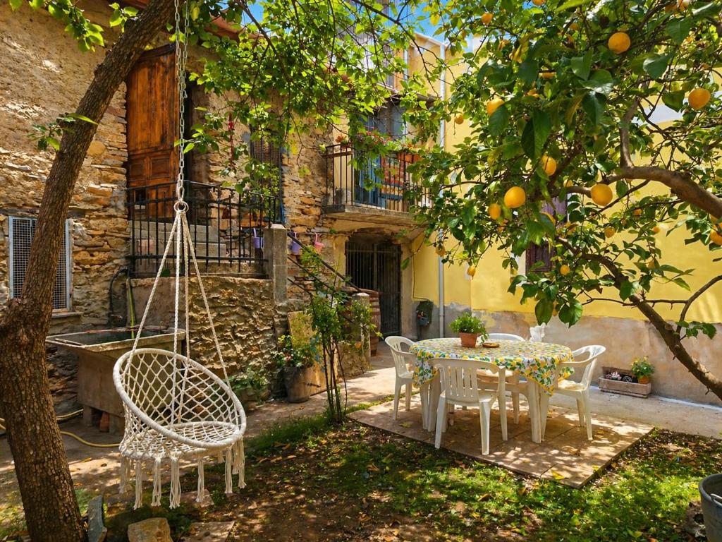 a patio with a table and chairs under an orange tree at Limonaia in Villa Viani