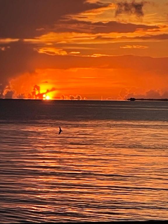 NHN Lodge, Avatoru - photo 9 - Rangiroa, Polynésie