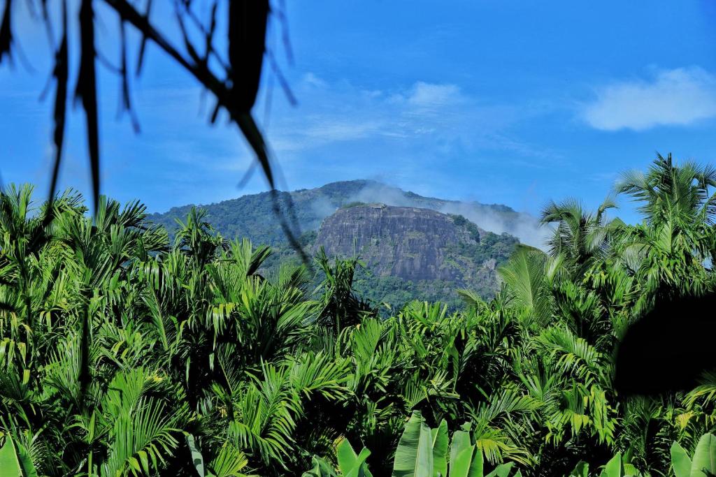 a view of a mountain with palm trees at Fram tree house in Dambulla