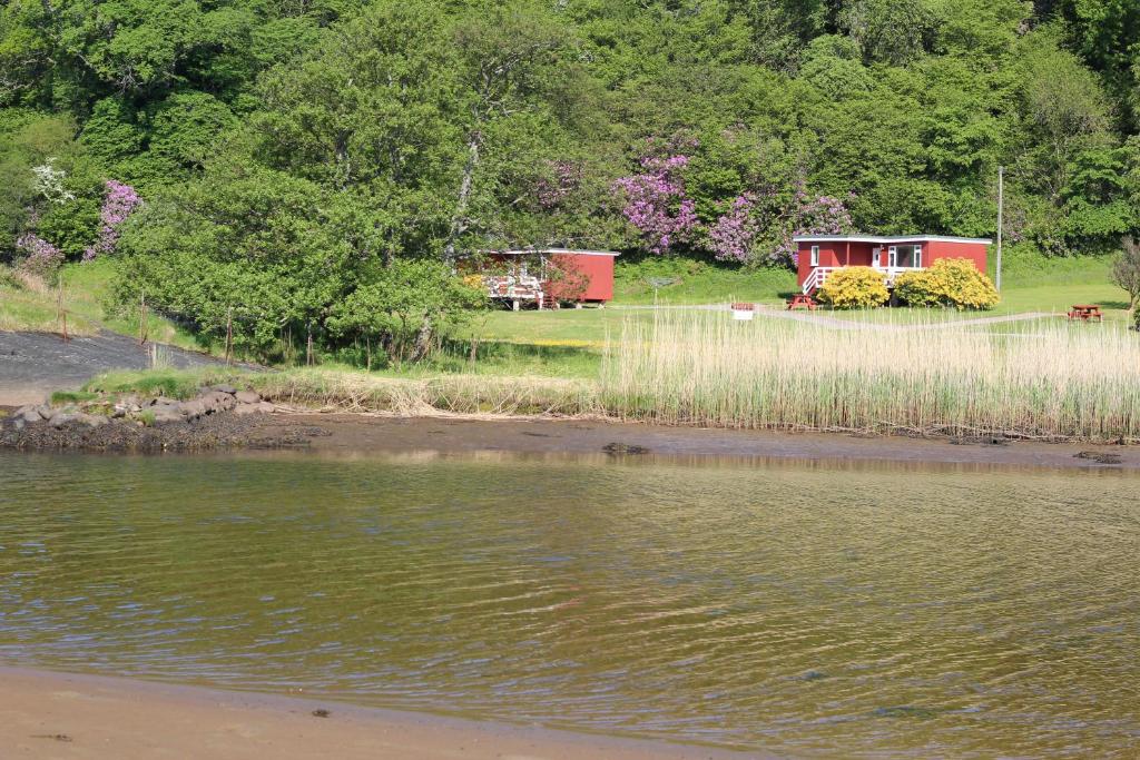 a view of a lake with a house in the background at Lochead Chalet 1 in Lochgilphead