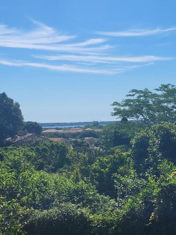 a view of a forest with trees and a blue sky at Appart Allée des chênes in Furiani