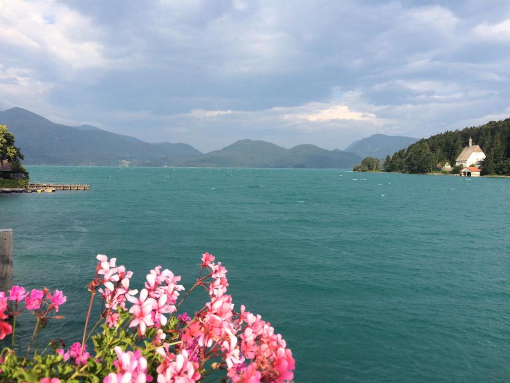 a view of a large body of water with pink flowers at Ferienwohnung am Walchensee in Walchensee