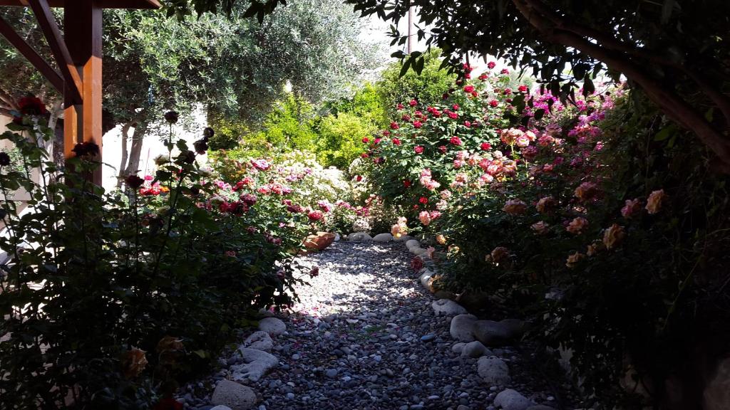 Zahrada ubytování Jaime Villa Cyprus