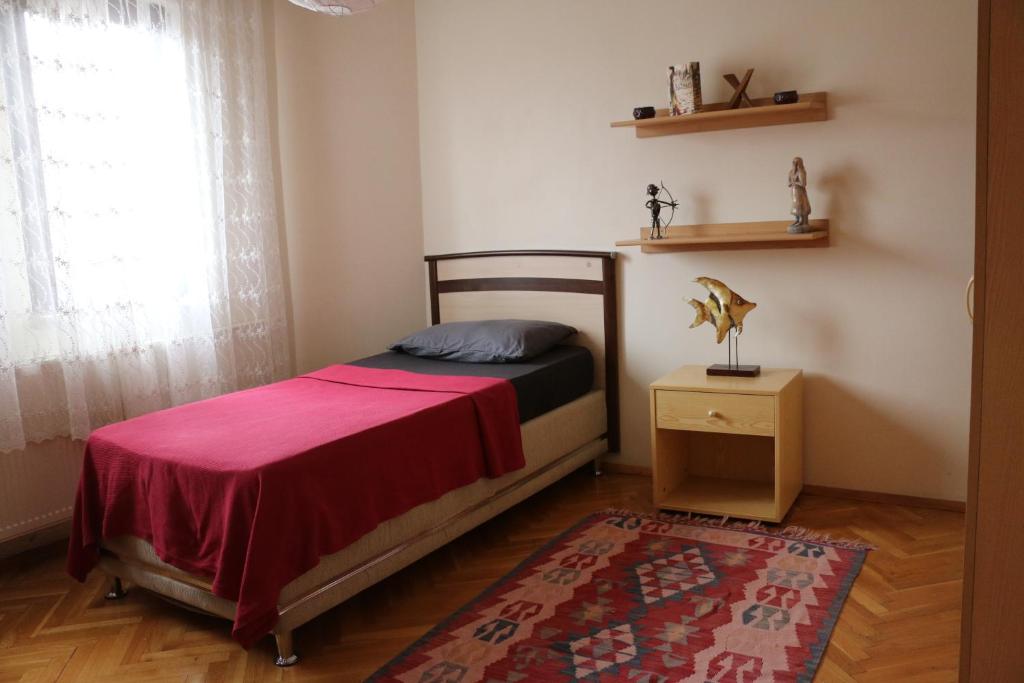 a bedroom with a bed with a red blanket and a window at Best Room in Town in Karakusunlar Köyü
