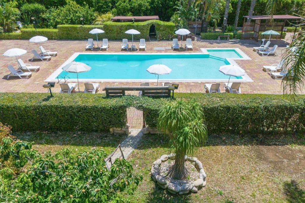 a swimming pool with chairs and umbrellas and a palm tree at Pathos Retreat Pool and Garden in Syracuse