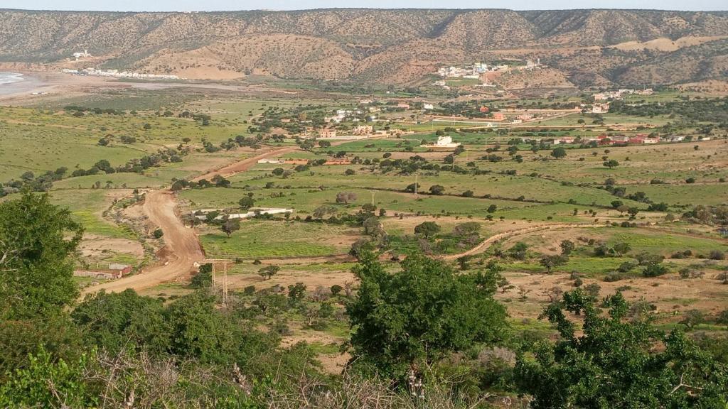 a view of a field with trees and a dirt road at Tigmi Nrayss in Essaouira