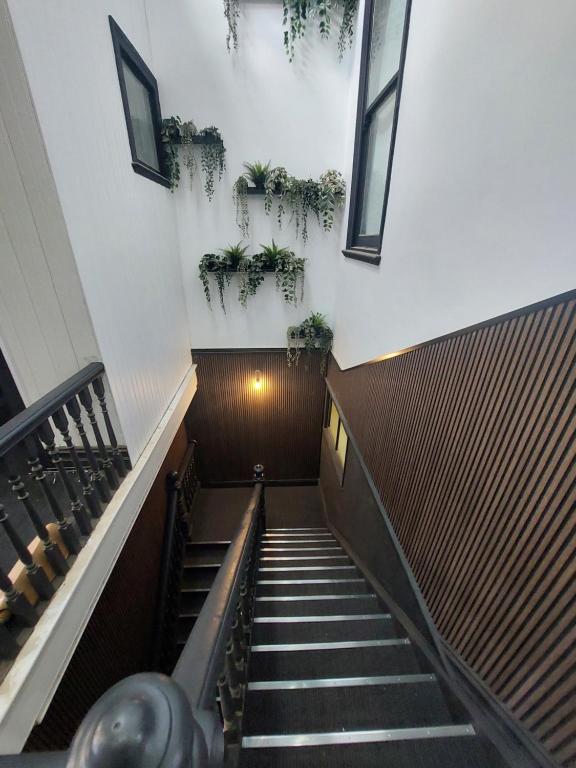 a staircase in a building with potted plants on the wall at The Vine & Lamb in Saint Arnaud