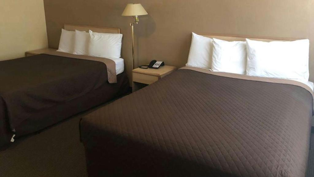 M Star Hotel Mansfield - Suite Double Standard