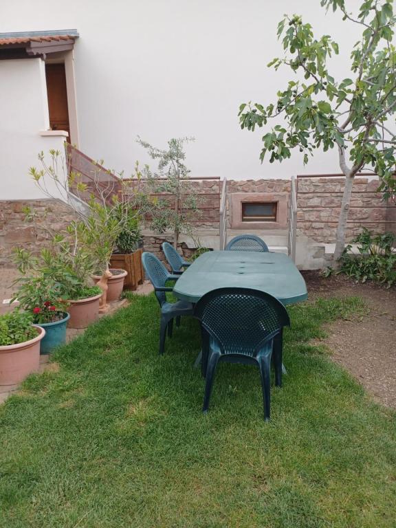 Le figuier de francesca – photo 15