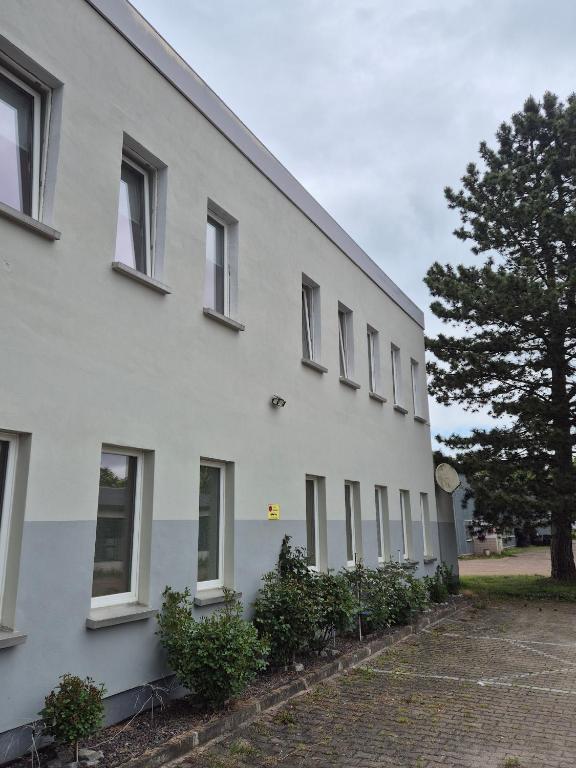 a white building with plants in front of it at Ferienwohnung in Georgenthal in Georgenthal