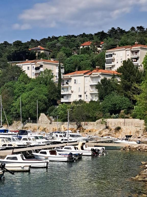 a bunch of boats docked in a harbor with buildings at ROBI in Kraljevica