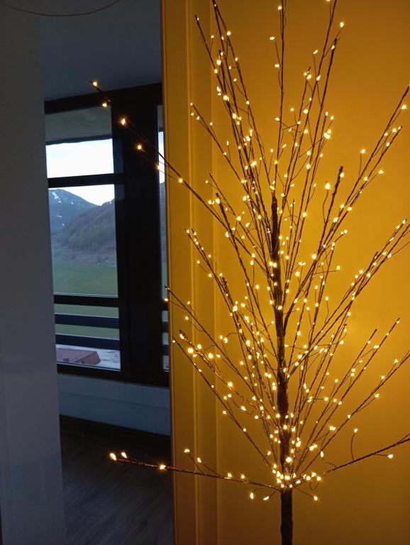 a christmas tree with lights on a wall at Il rifugio del cuore in San Massimo