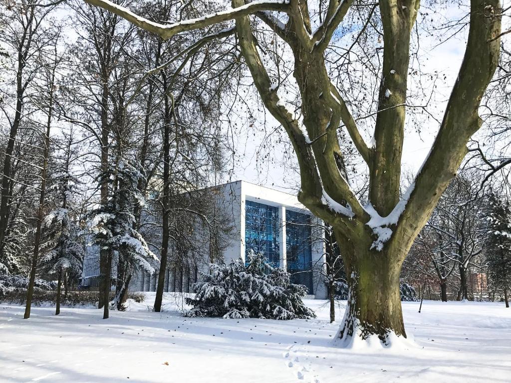 Design Apartments in Park v zimě
