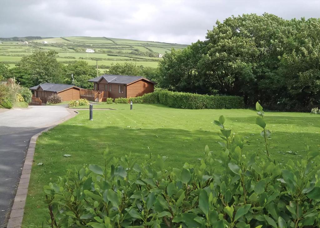 a grassy yard with houses in the background at Bossiney Bay in Tintagel