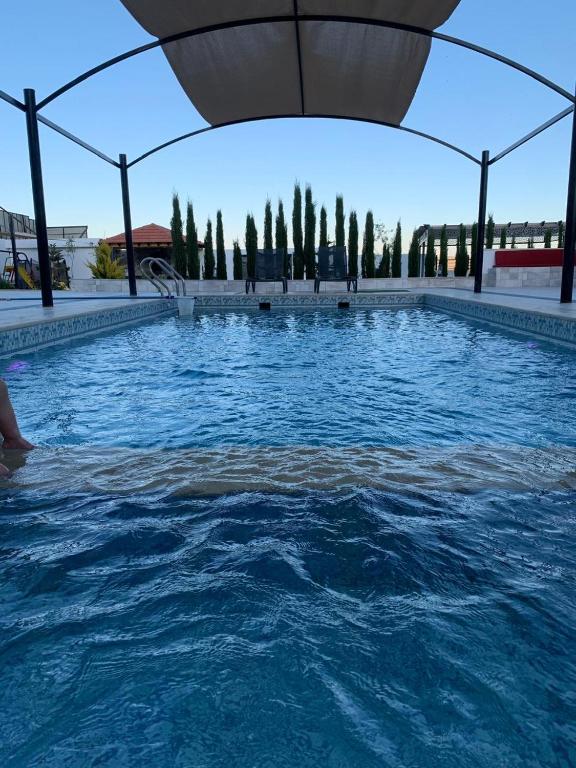 a pool of blue water with trees in the background at Olives Hill Farm in Al Kufayr