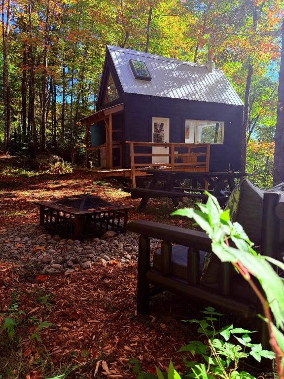a blue cabin in the woods with a picnic table and benches at TinyHouse - Touski in Val-des-Lacs