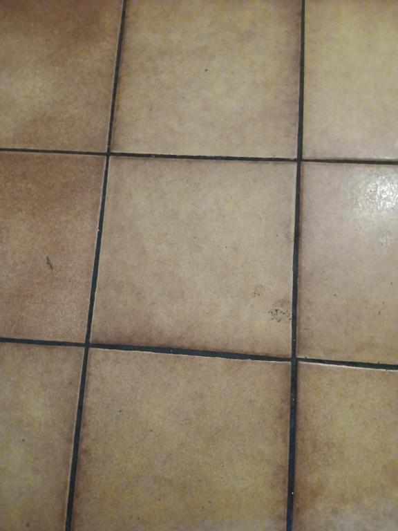 a tiled floor with some dirt on it at Maison Événementielle à Paris avec jardin terrasse et métro in Montreuil