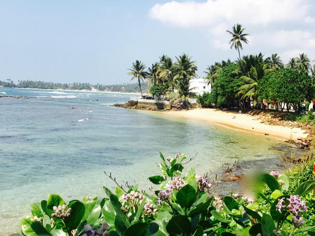 a beach with palm trees and the ocean at Aurora in Unawatuna