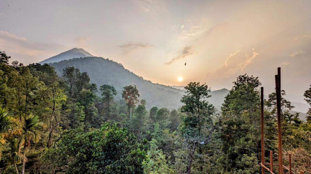 a view of a forest with a mountain in the background at Belmonte in Kalasa