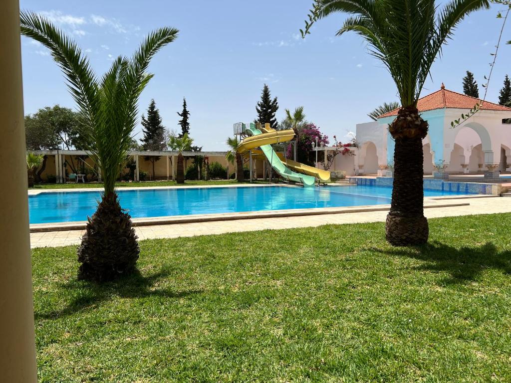 a swimming pool with two palm trees and a slide at Hotel Ksar Eljem in El Jem