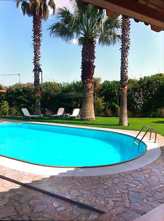 a swimming pool with palm trees in a resort at Anavissos pool appartment in Anavyssos