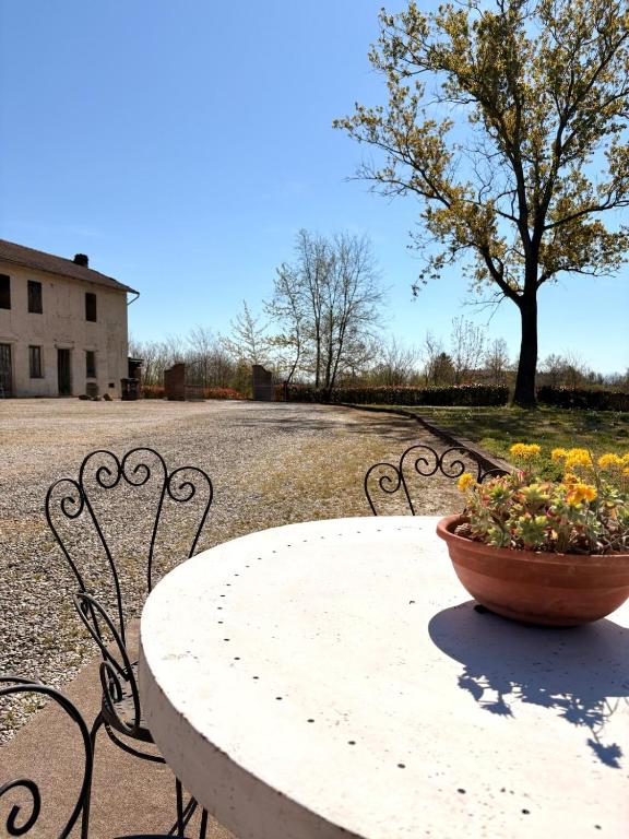 a white table with a pot of flowers on it at Agriturismo Nani in Altavilla Monferrato