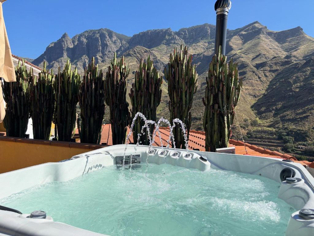 a bath tub with a fountain in front of cactus at Los Jazmines in Agaete