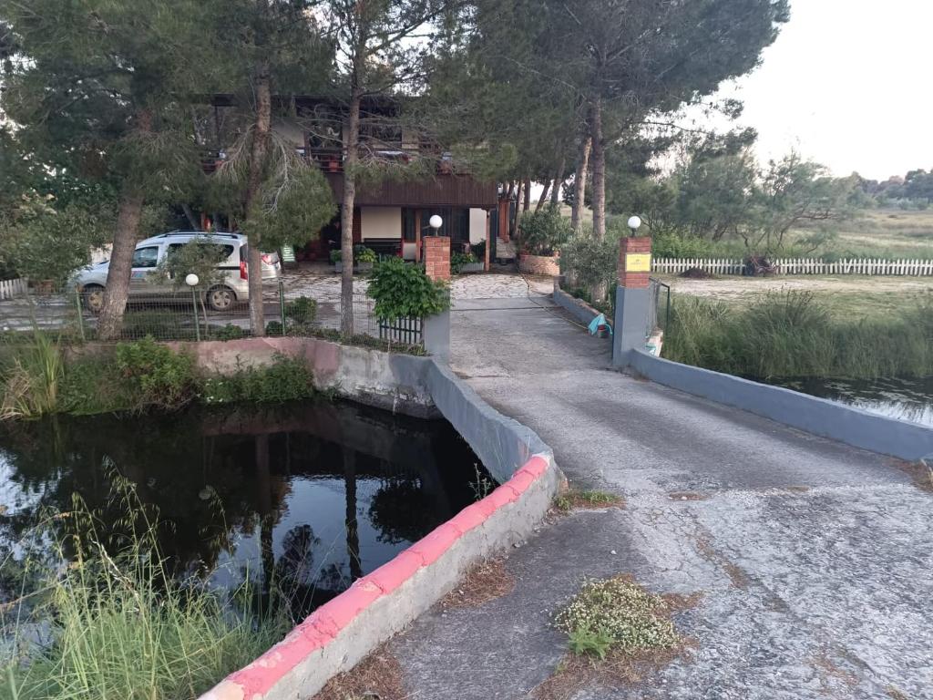 a pool of water on the side of a road at Altin Prendi B&B in Divjakë