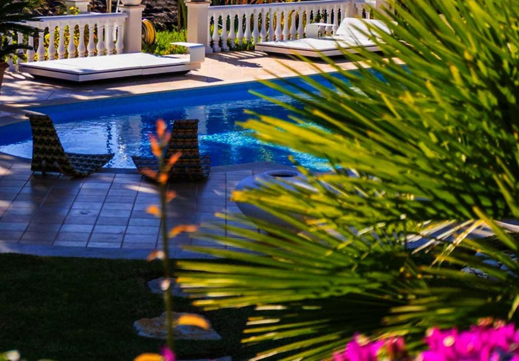 a swimming pool with two chairs and a palm tree at Tranquil Algarve Escape in Faro